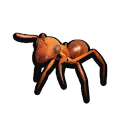 Stuffed Red Worker Ant icon