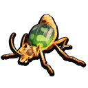 Bombardier Beetle icon