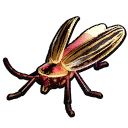 Firefly icon