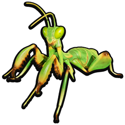 Stuffed Praying Mantis Nymph icon