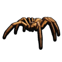 Stuffed Wolf Spider icon