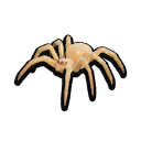Stuffed Spiderling icon
