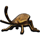 Stinkbug icon
