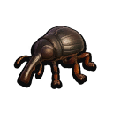 Weevil icon