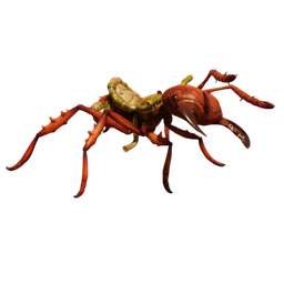 Red Soldier Ant Buggy