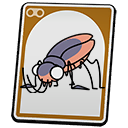 Cockroach