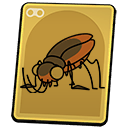 Cockroach