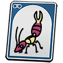 Whipper Earwig