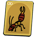 Whipper Earwig