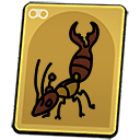 O.R.C. Pincher Earwig