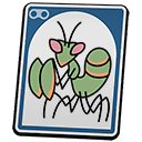 Praying Mantis Nymph