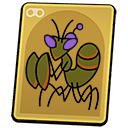 O.R.C. Praying Mantis Nymph