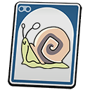 Garden Snail