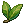 Bay Leaf