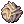 Desert Rose