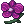 Ember Orchid