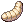 Larvae