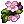 Pomona's Gift