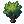 Apple Tree Sapling