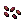 Grape Seeds