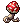 Amanita Mycelium
