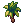 Palm Tree Sapling