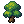 Tree Sapling