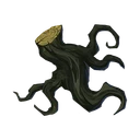 Black Root