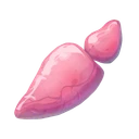 Pink Bladder