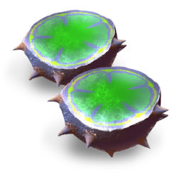 Processed Coralion Egg