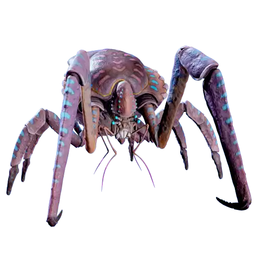 Coral Crab