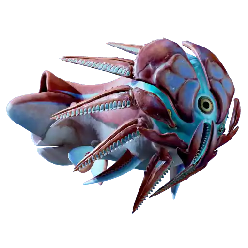 Hammerhead