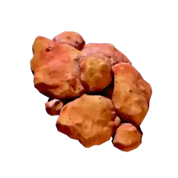 Coral Shavings