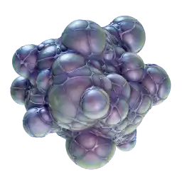 Axum Bacterial Culture