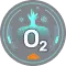 Oxygen Control